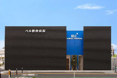 ベル動物病院