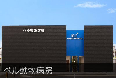 ベル動物病院