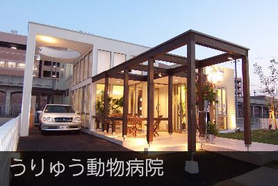 うりゅう動物病院