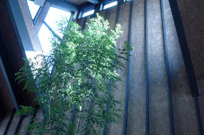 レストラン・カフェ　YAMAKITA