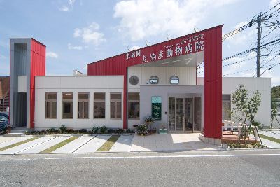 東福岡たぬま動物病院